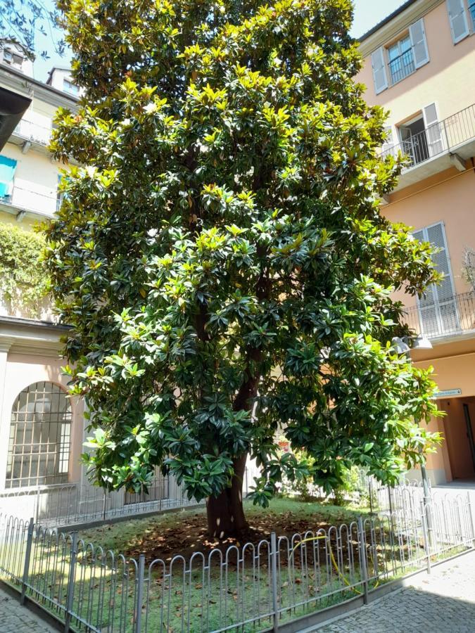 Central Garibaldi Loft, A Piedi A Palazzo Reale Turin Exterior foto